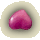 Adalt